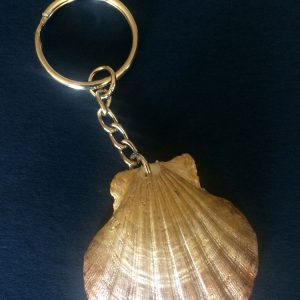 Shell keychains - plain