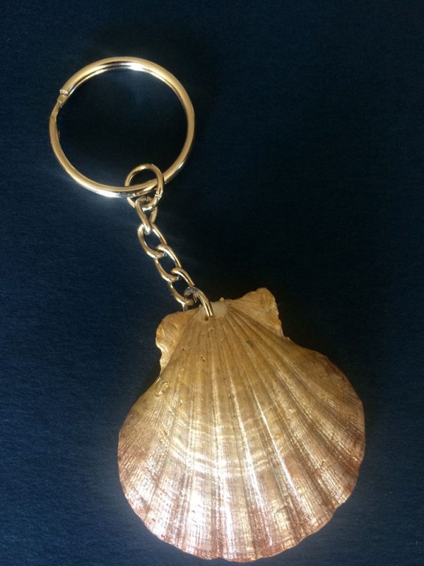 Shell keychains - plain